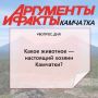 #ВОПРОС_ДНЯ. Голосуйте и пишите в комментариях, почему выбрали именно этот вариант! А может, есть свой вариант? Предлагайте!