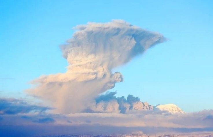 ������� �� ���������: ����� �������� ������ ������ 10,2 ��