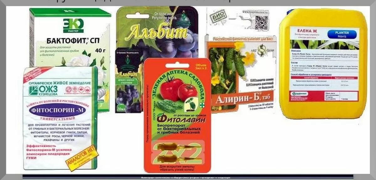 Биопрепараты: секреты успешного садоводства в 2025 году