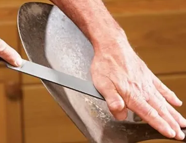 Как тупой секатор вредит растениям: важность заточки инструментов