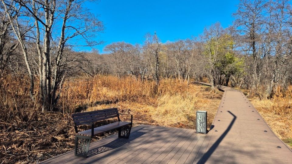 � ����������� �� �������� ������ ���-����� �������� �������