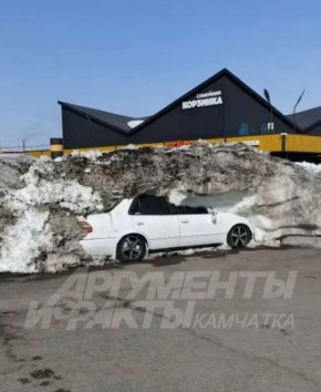 Железные «подснежники» показались на Камчатке