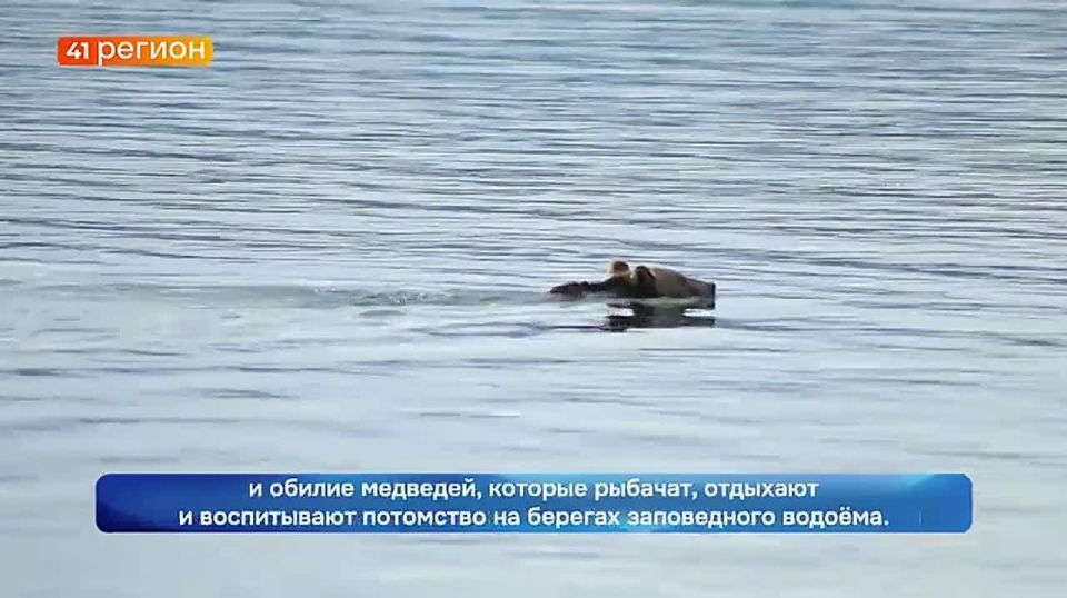 43 ���� ����������� ����-����������� ��������� - ����� ����� ����� ���������� ��������� ���������� ������������ �������� � ���������� ����.