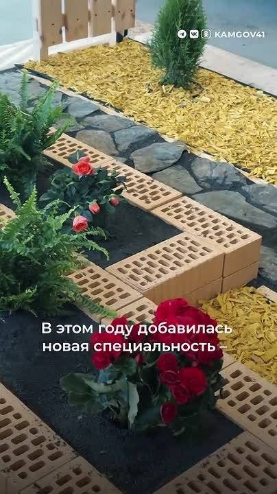 Профориентационные мастер-классы прошли для участников СВО и школьников