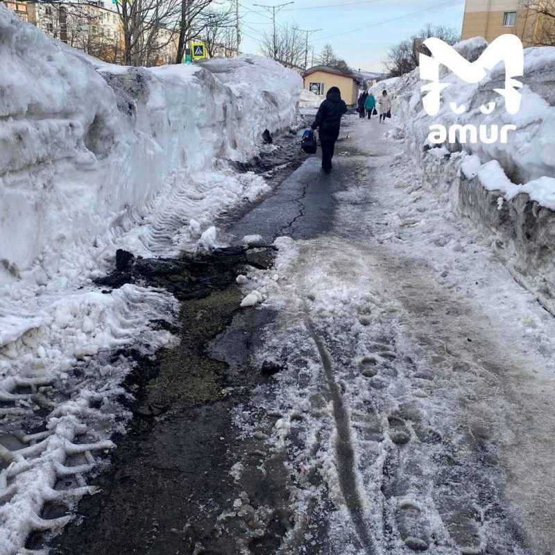 ������� ������ ������� � ������������ ���� �� ��� �� ������ � ��������������-����������