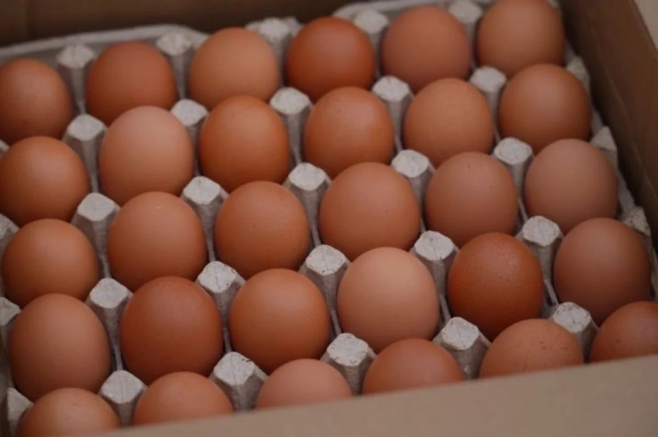 �� �������� ����� ������ � ������������ ��������� ���� �� ��������� ����