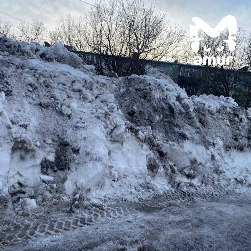 ������� ������ ������� � ������������ ���� �� ��� �� ������ � ��������������-����������