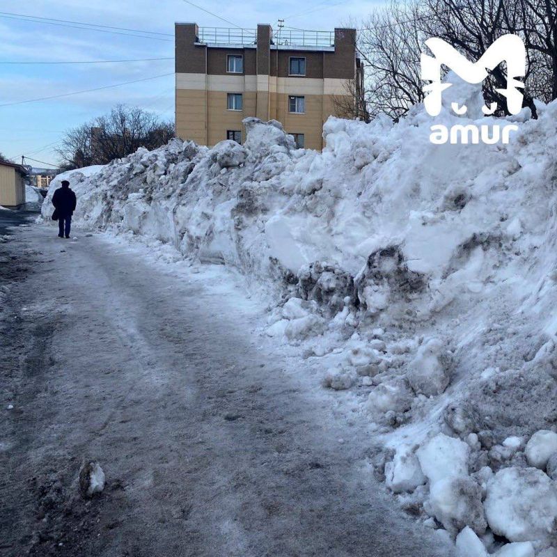 ������� ������ ������� � ������������ ���� �� ��� �� ������ � ��������������-����������