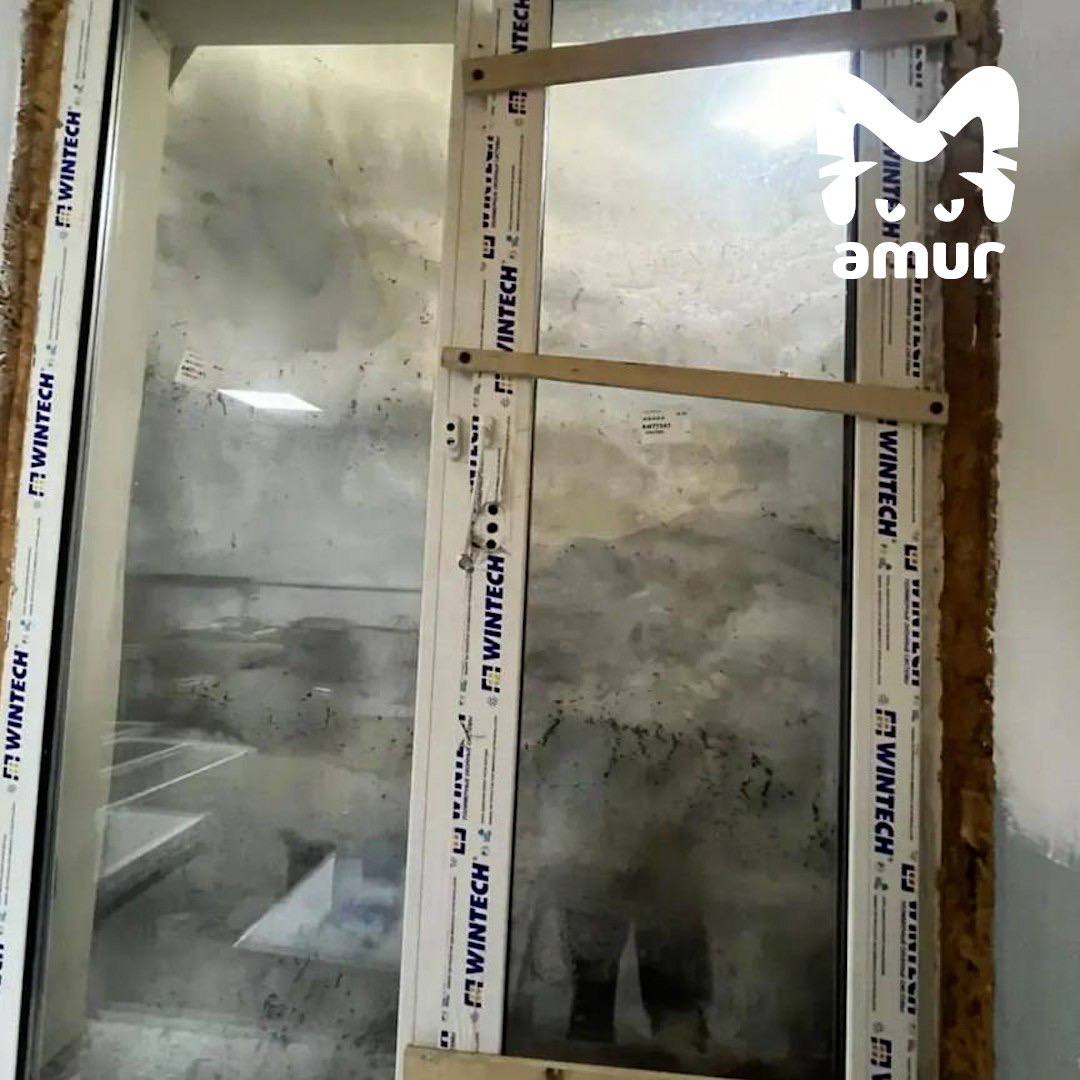 Директора школы поймали на растрате на Камчатке Директора школы поймали на растрате на Камчатке