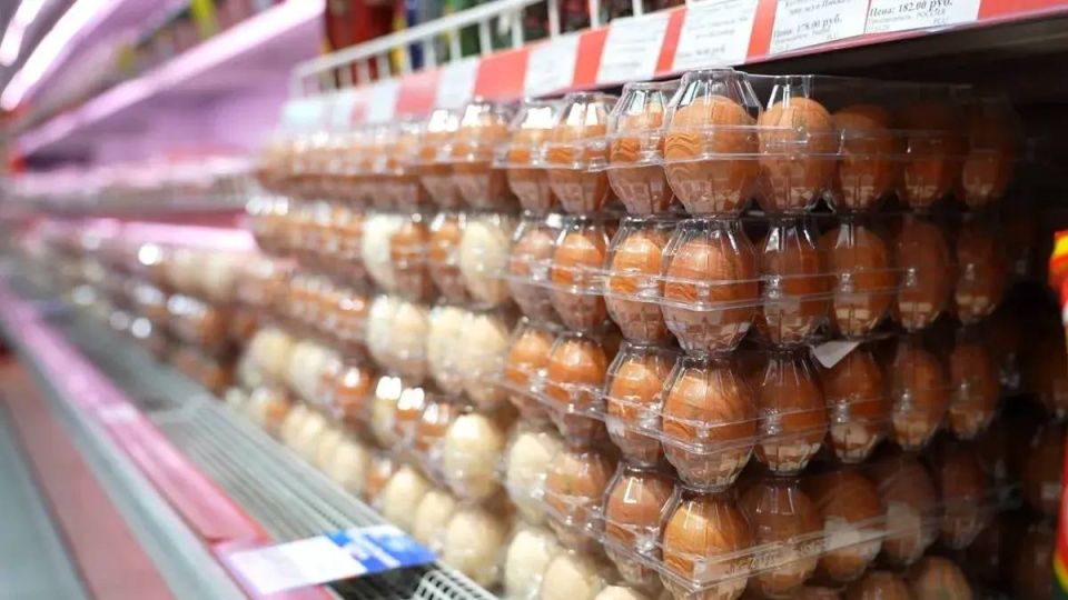 ���� ������������ ����������� ������� � ��������� �� ���������� ����