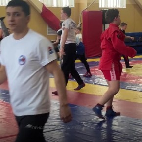 Спортивное мероприятие, приуроченное ко Всемирному дню здоровья, прошло в ФОК «Звездный»