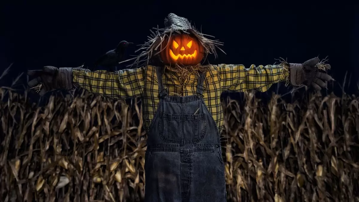 Как один дачник испугал вора с помощью волка