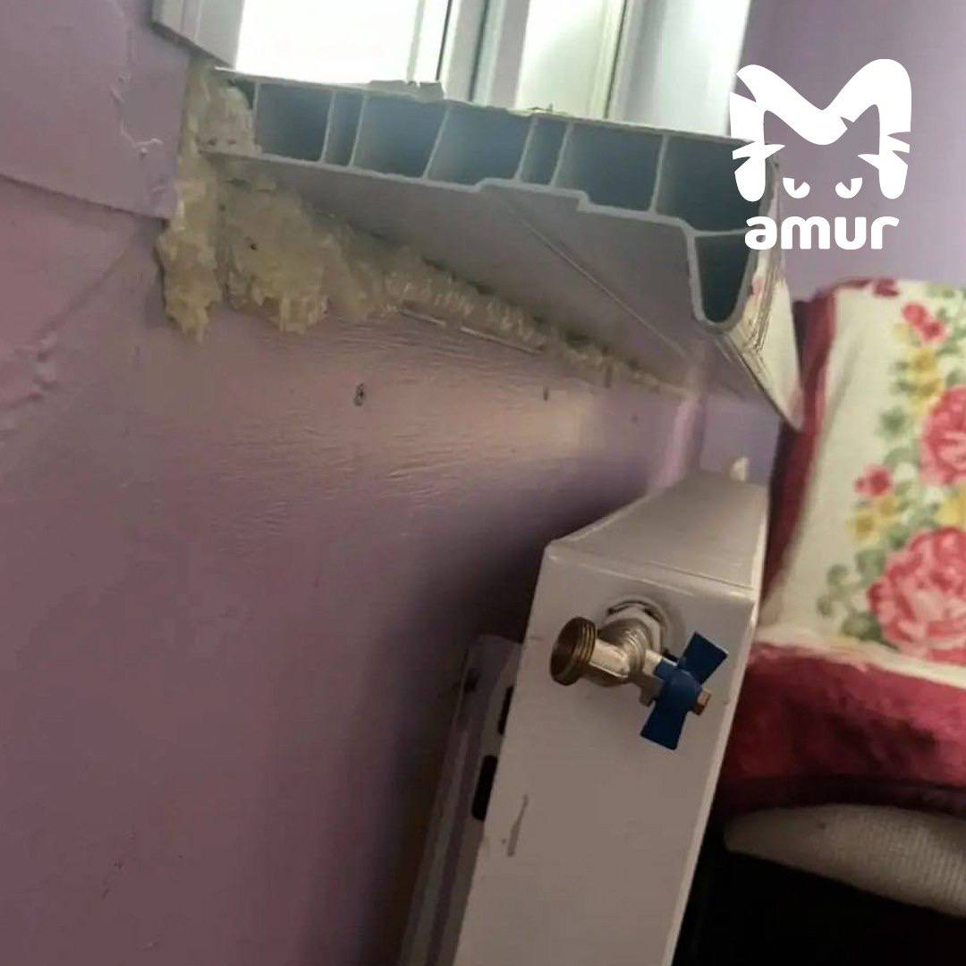 Директора школы поймали на растрате на Камчатке Директора школы поймали на растрате на Камчатке