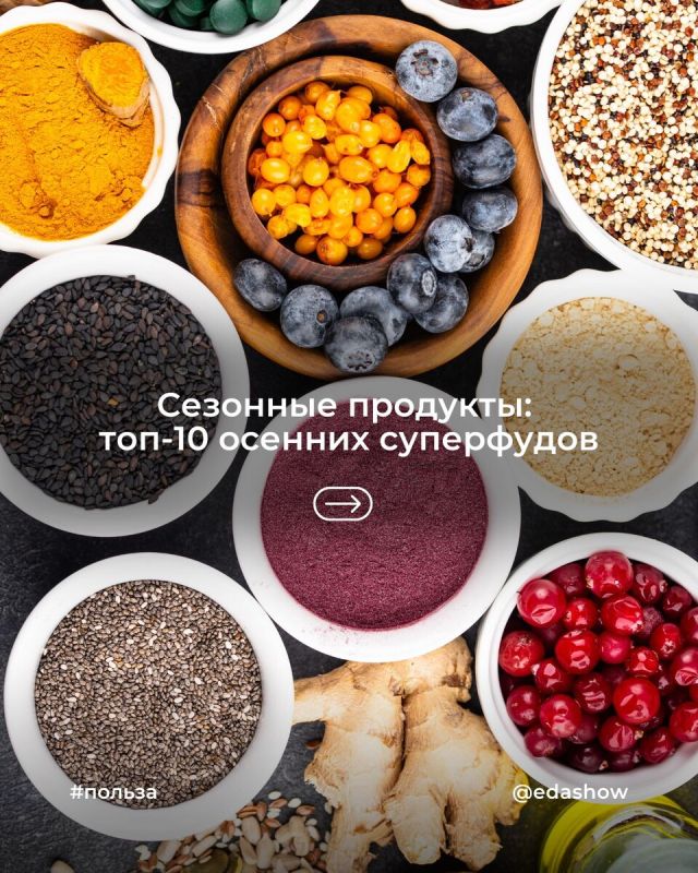 �������� � �������� ��������: ���-10 ���������� ��� ����������