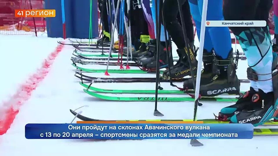 ���������� ������������ �� ���-���������� ��������� �� ��������