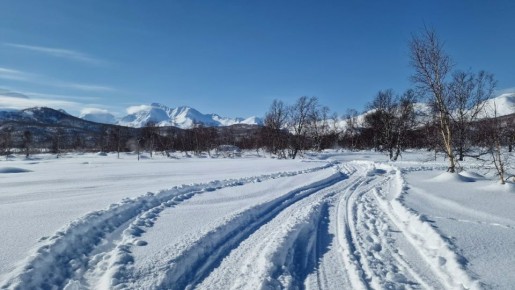 ������ �������� ������� �� �������� � ��� ����������� � ������� ����������� ������, ���� ��� �������, ����� � ���� ��� ��� ������ ����