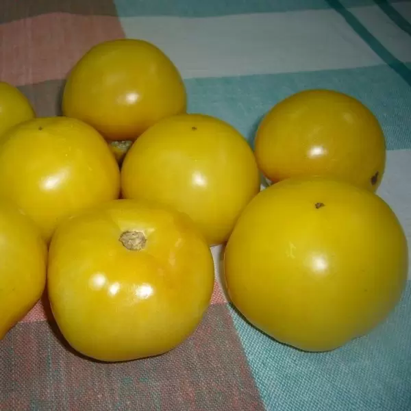 Томат сладкий пончик: уникальный сорт с сладким вкусом и ярким цветом