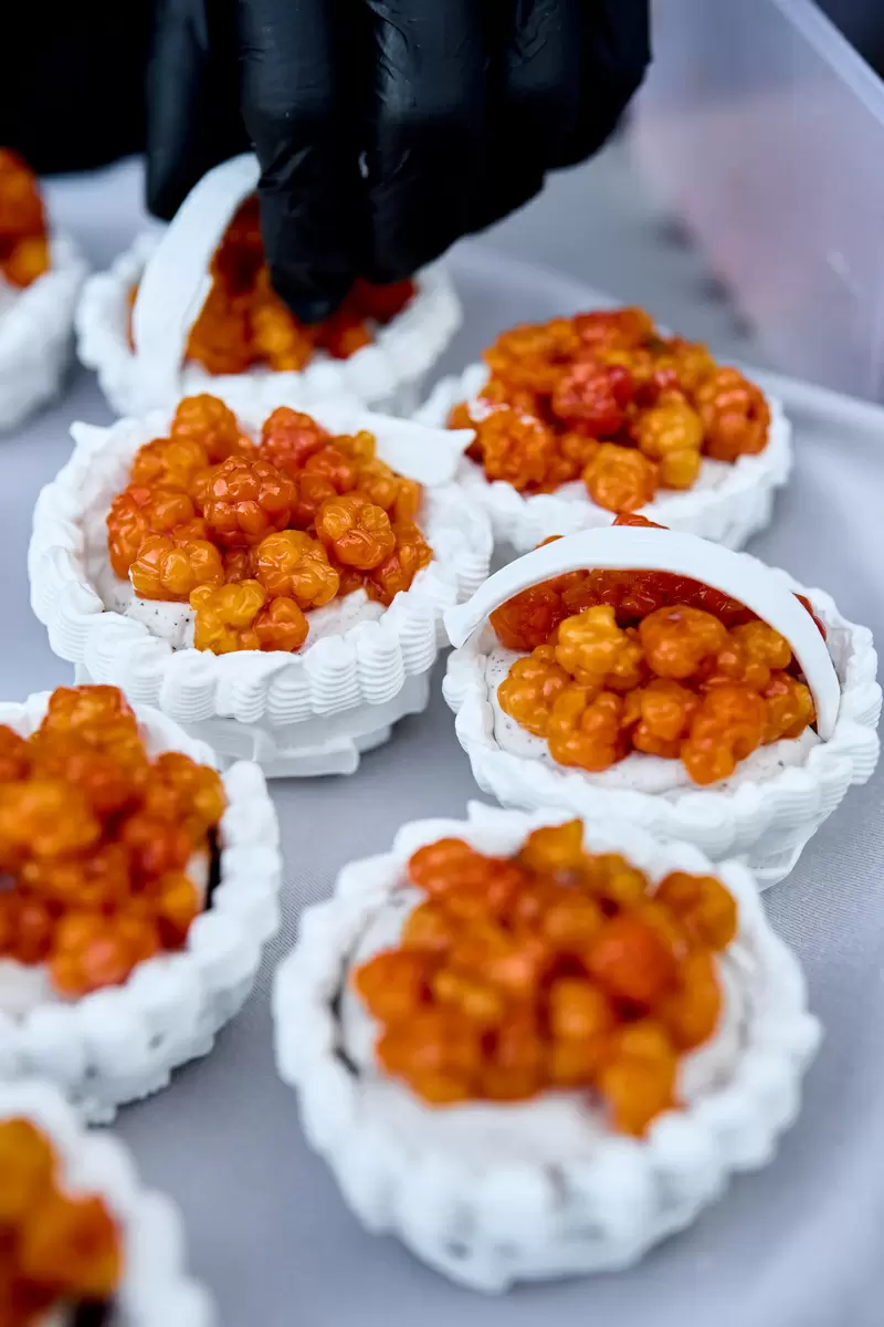 Морошка: уникальная ягода с севера и её непревзойдённые жемчужины вкуса