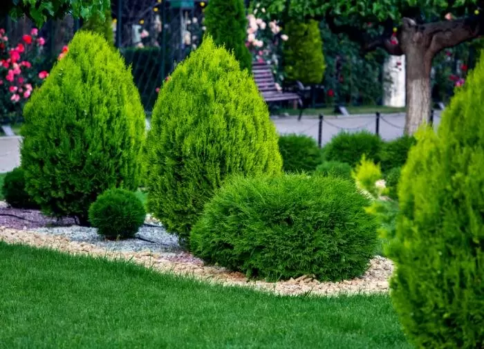 Как подготовить газон к зиме: советы для прекрасного результата