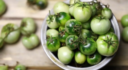 ������� ������: �������, ����� ������������� ����� �������� �� �������