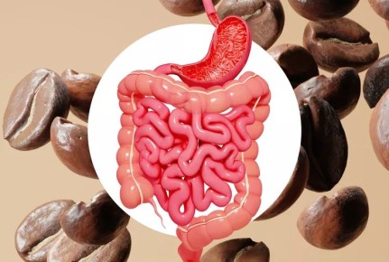 ���� ��� ������ ��������: ����� ������������ ��������