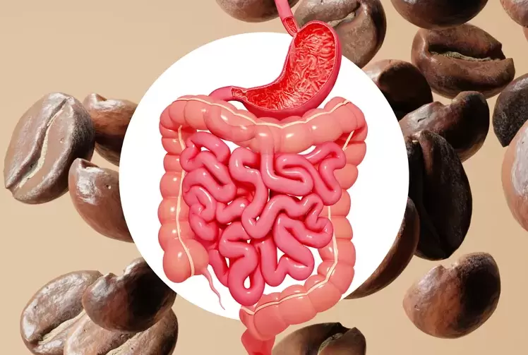 Кофе как секрет здоровья: новые исследования удивляют