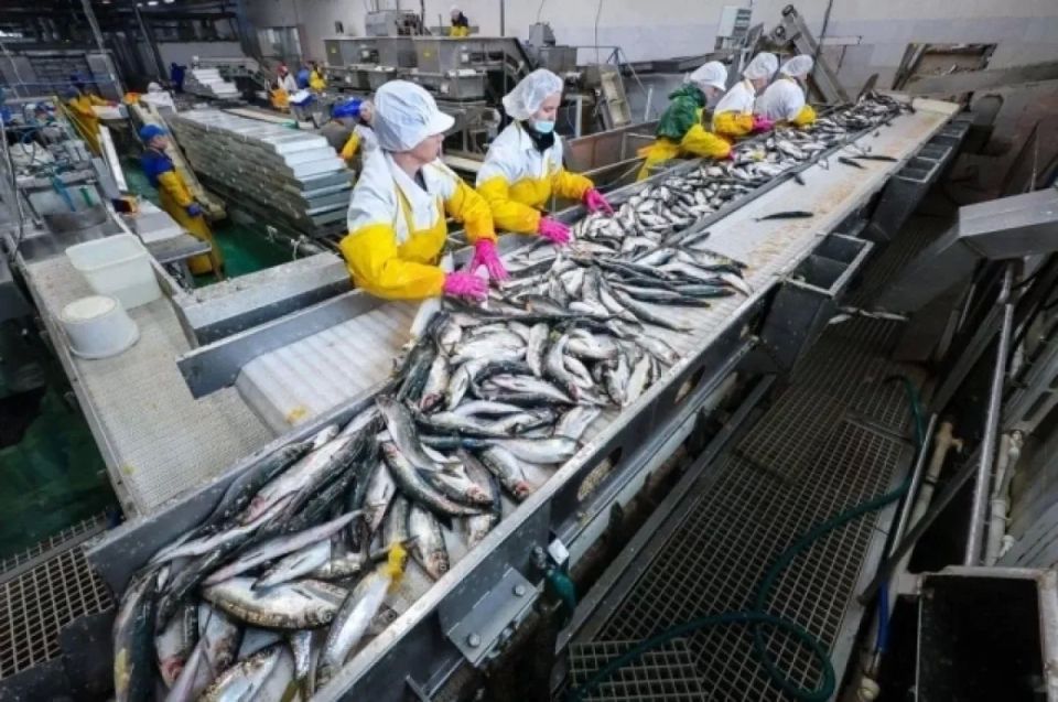 ������ �����: �� �������� ������� ����� ���� ����������� ���������