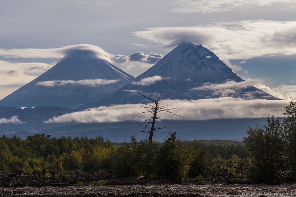 ������ ����-����������� ���������� � ������������ ������� � ������