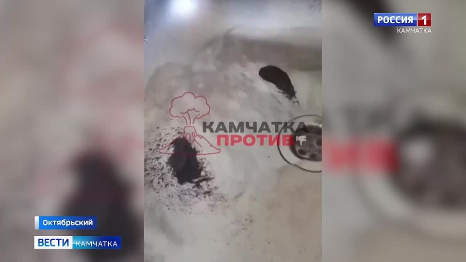 ������ ������ ����������� �������� �� �������� ������������� ����