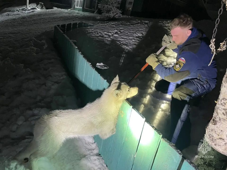 ��������� ���������� ������, ������� �������� � ���������� ������