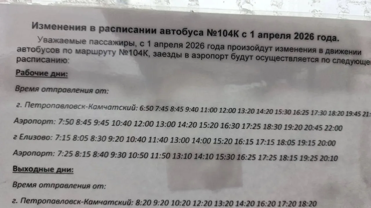 Камчатцы: за что в елизовском аэропорту ненавидят людей?