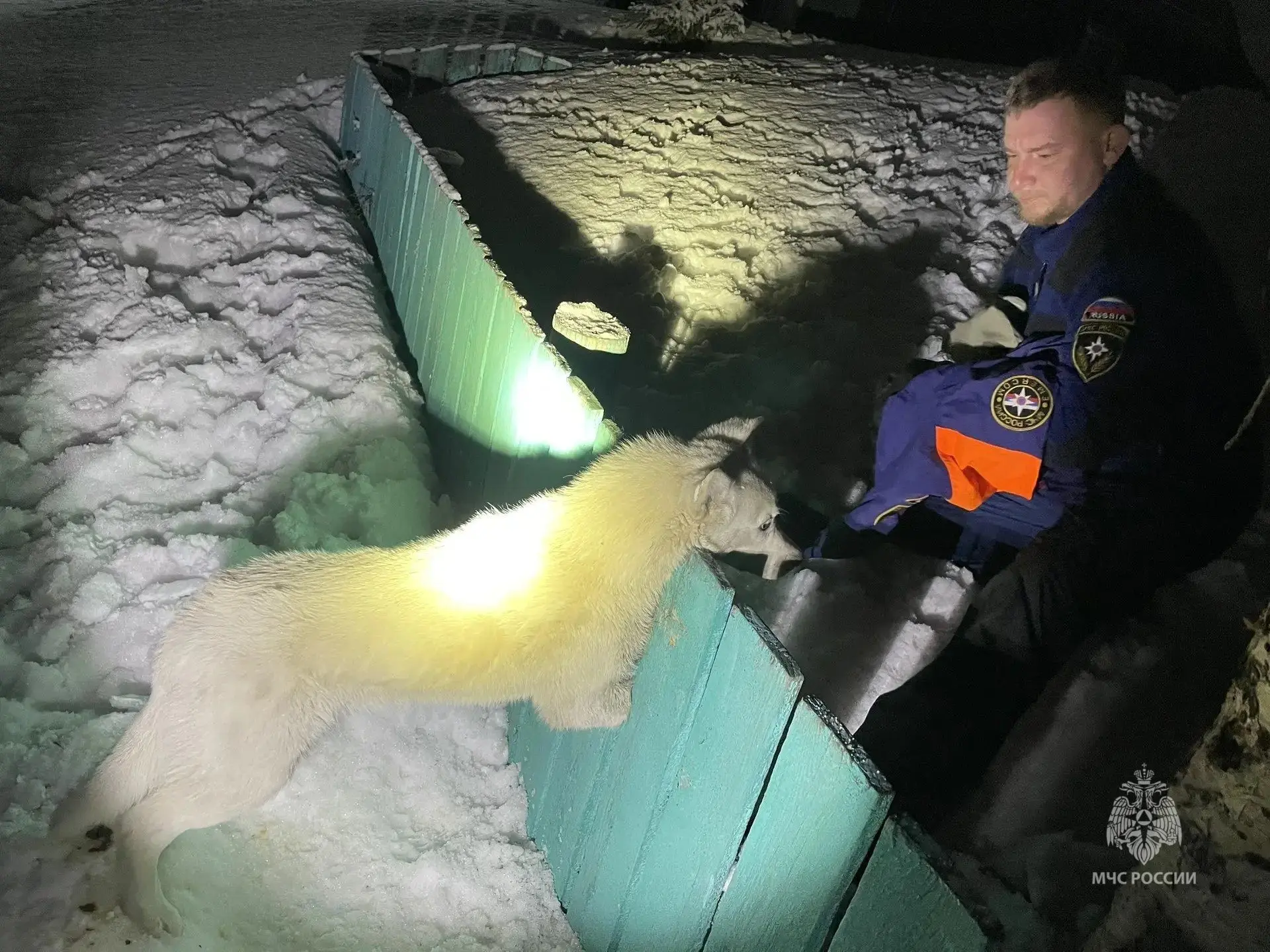 Камчатские спасатели МЧС России оказали помощь собаке, застрявшей в заборе Камчатские спасатели МЧС России оказали помощь собаке, застрявшей в заборе