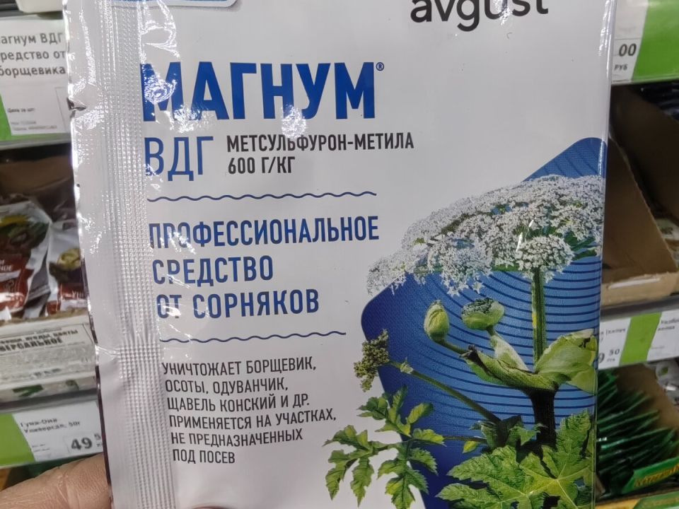 ��� ��������� ������������ ������: ������� �������� ��� ������ ����