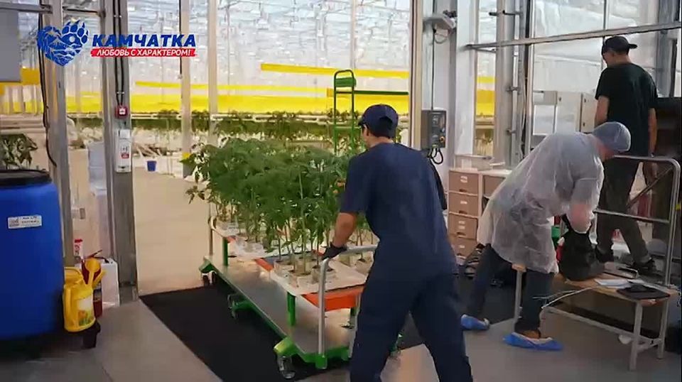 ��� �������� �� �������� � �������� ��������