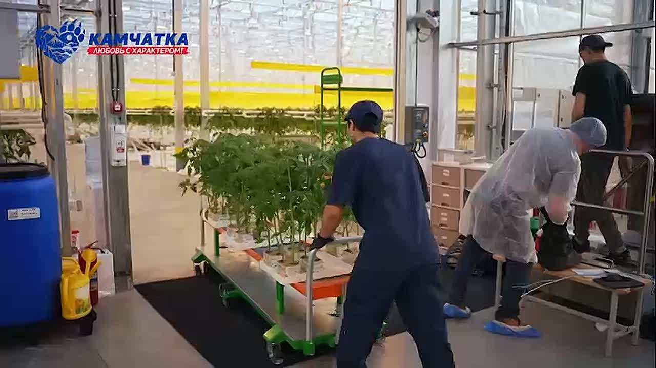 Они приехали на Камчатку и остались навсегда