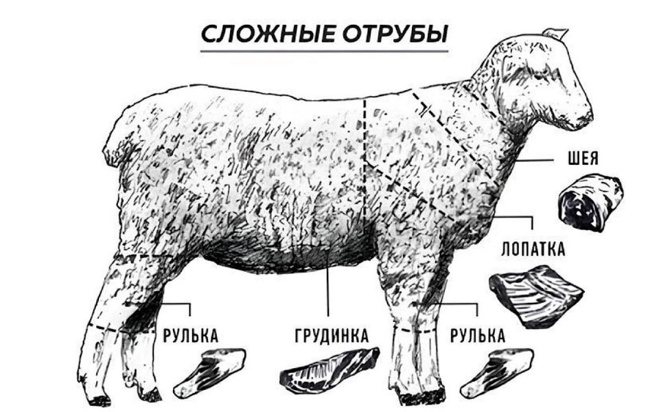 ��� ������� ��������� ��������: ������� �� ��������������