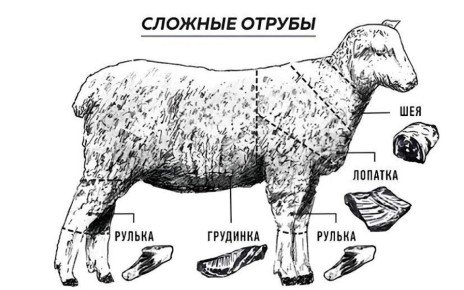 ��� ������� ��������� ��������: ������� �� ��������������