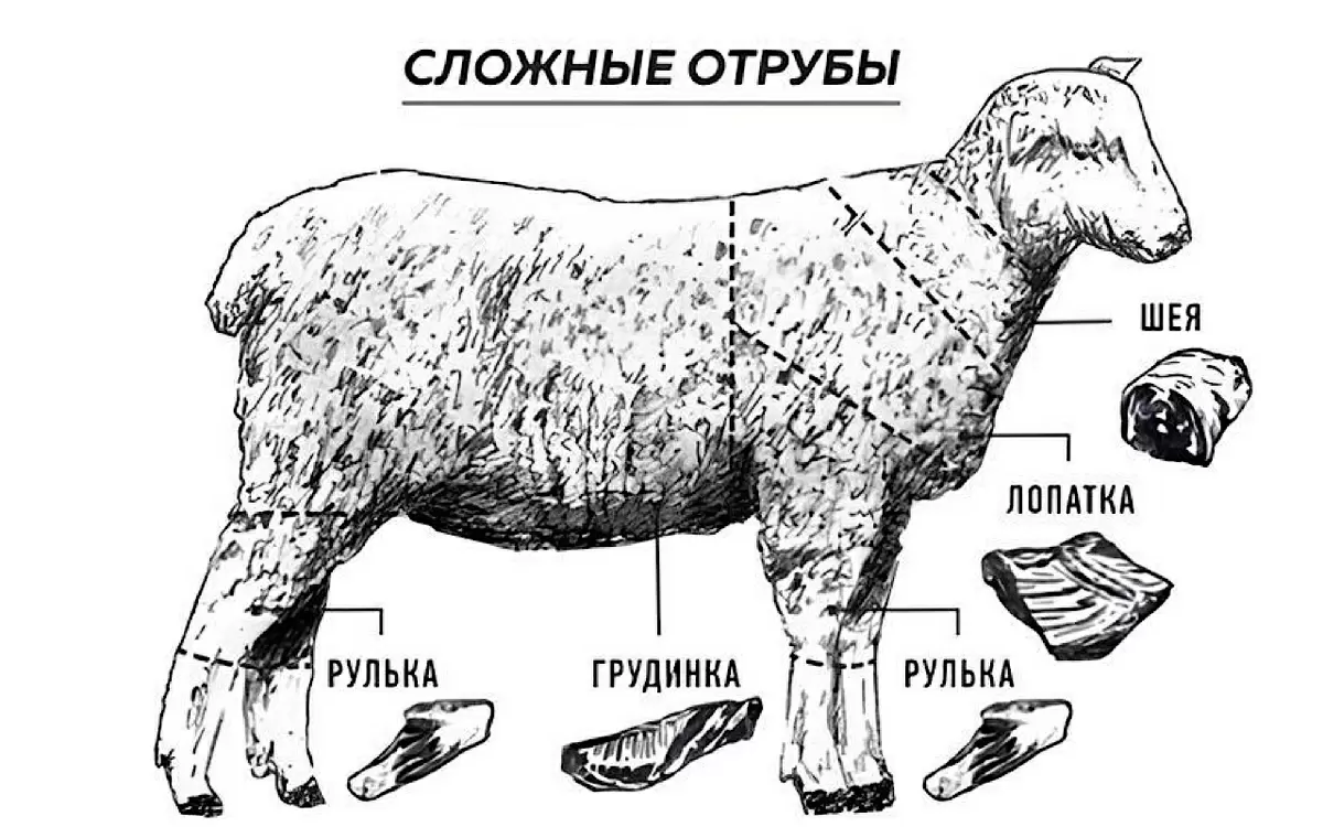 Как выбрать идеальную баранину: секреты от профессионалов