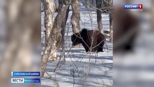 � ����� � ���������. ������� ������ ����������� � ����������� ������