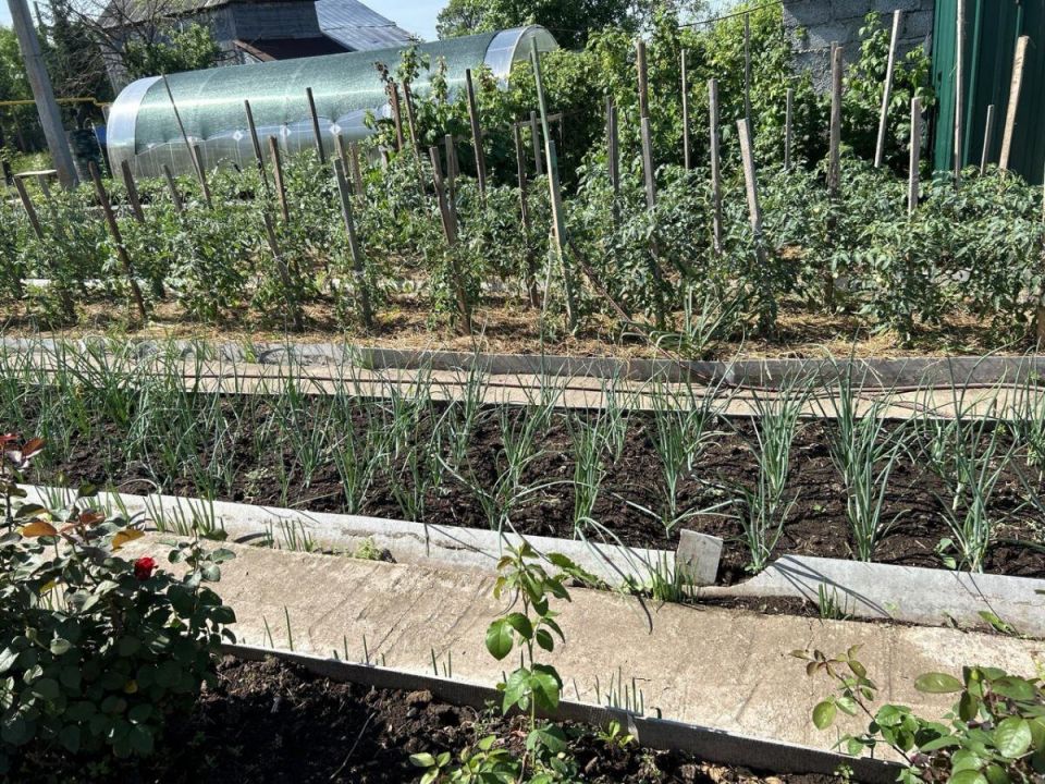 ������ ������� ���������� ��� ��������� ������