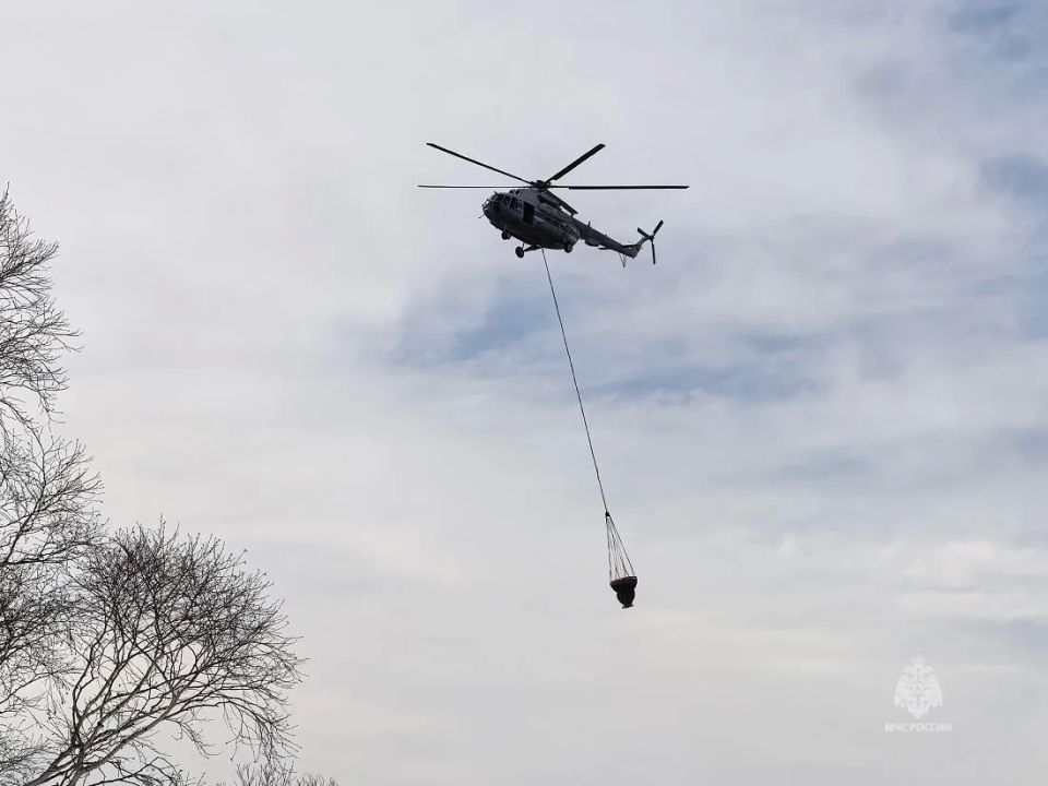 ��-8 ��� ��������� ����� ���� ��� ������������ ������