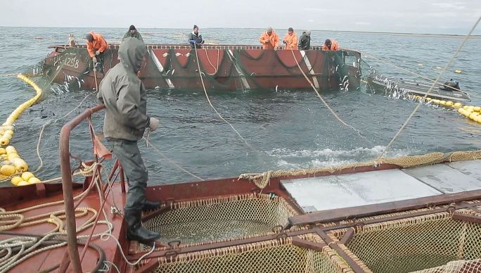 ����� �� �������. ������� ��������������� ���� �� ����������� ���� ����� ������ ������� ��������������� � �������� ��������