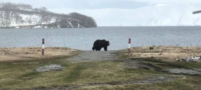 ������� ������ ��������� ����������� �� ������� �������