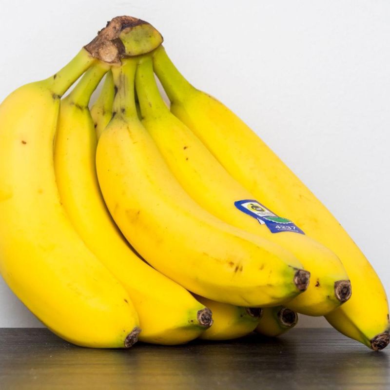 ������ ������: ����������� �������� ��� ����