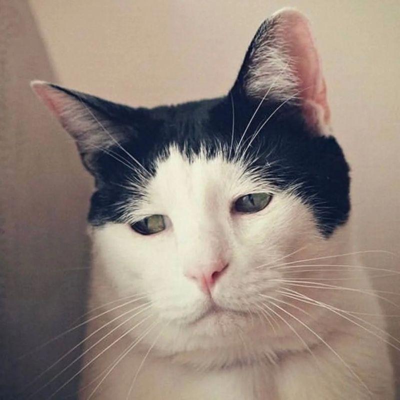 �������. ����� �������� ��� ������ � ������ 13-������ ����� �������� ���, ����� ��� ���-�� ����� ��������: ��������� ����, ��������� ������, ��������, �� ������� ��������� ������