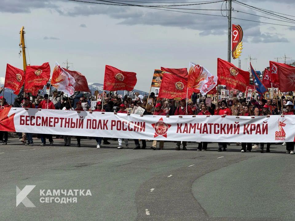 �����, ������������ ���� � �����: �� �������� ������� 81-� ��������� ������