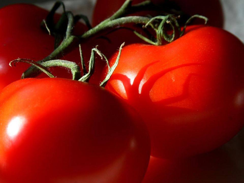 ��� ������� ��������� ����� ������� ������ ������� � ����