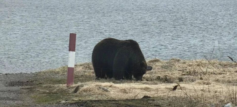 ������ ��������: ������� ������� ��������� � ����������� �� ���������� �����