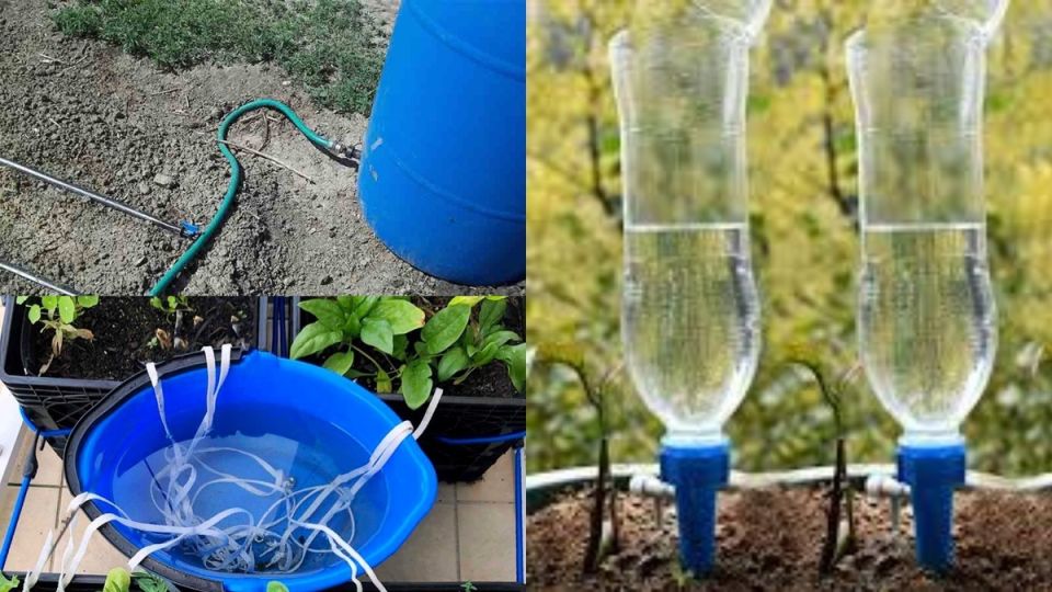 ����������� ������� ���������� ��� ������ �������