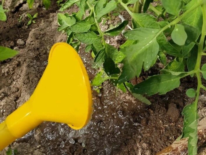 5 ������ ��� ������ �������, ������� ����� ��������� ���� ������